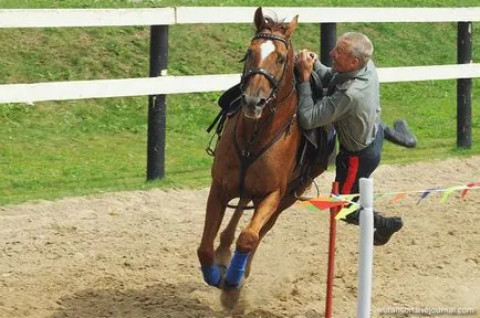 Campionatul de echitatie truc (34 poze) - triniksi