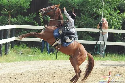 Campionatul de echitatie truc (34 poze) - triniksi