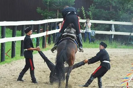 Campionatul de echitatie truc (34 poze) - triniksi