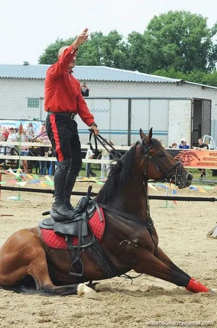 Campionatul de echitatie truc (34 poze) - triniksi