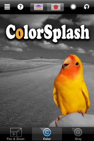 Colorsplash обезцветяване на снимките