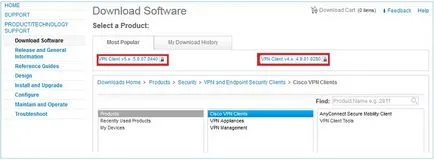 ferestre RVP ghidul de configurare Cisco 10