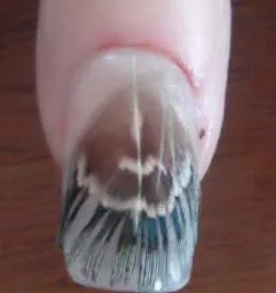 Nails tervezés tollal