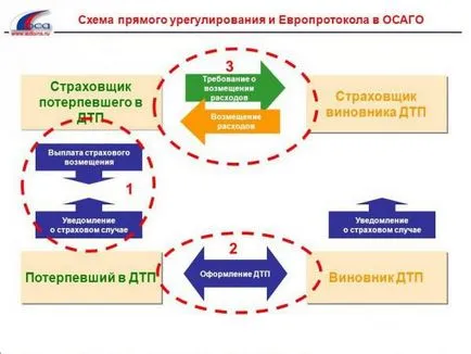 Действия при възникване на авария на CTP, документация за застрахователни искове