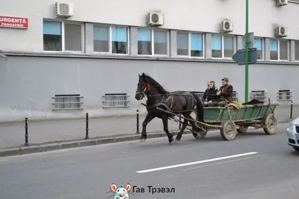 забележителности в Брашов