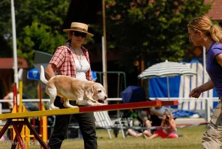 Два урока Agility