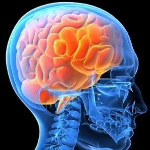 мозъка енцефалопатия симптоми, лечение и последствия