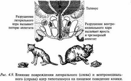 tip Emotiogenic comportamentului de hrănire (pp)