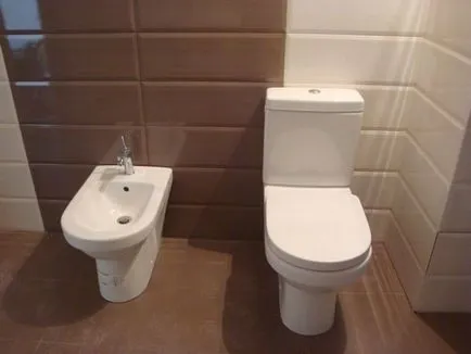 WC excentrică cu o chiuvetă instrucțiuni de instalare video cu mâinile lor, o fotografie și prețul