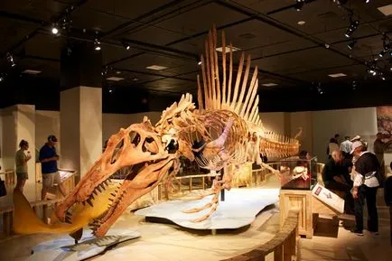 Evoluția aspectului Spinosaurus