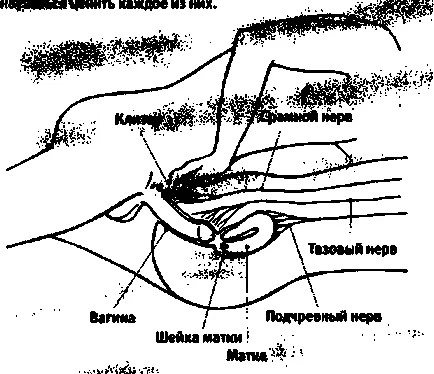 tapasztalatok boldogság