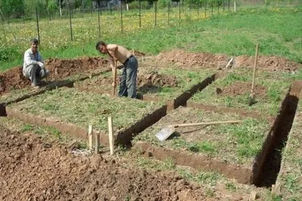 Fundamentul dale de pavaj pentru casa, garaj (cu fotografii și video)