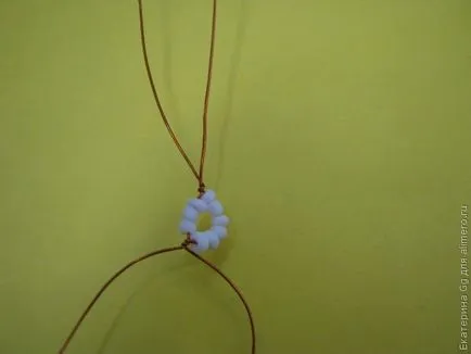 Fuchsia Gyöngyös