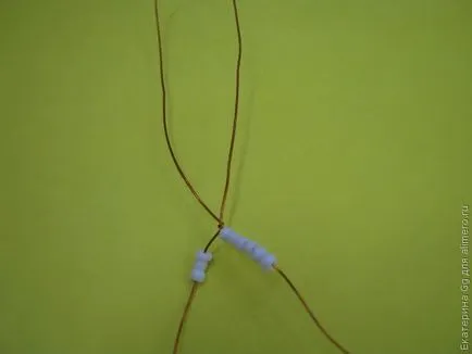 Fuchsia Gyöngyös