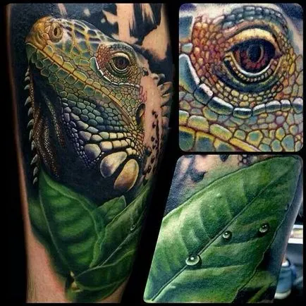 Fotografii și semnificația Iguana tatuaje