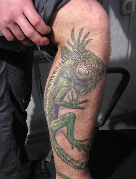 Fotografii și semnificația Iguana tatuaje