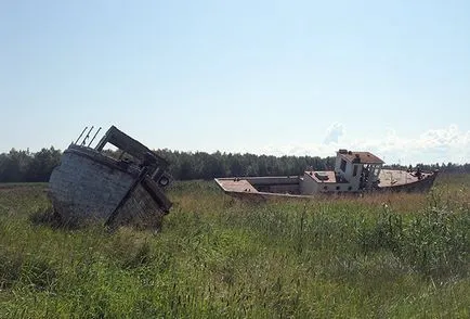 Къде ни легитимен морски дарове и защо те са толкова скъпи общество България