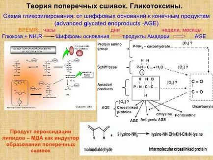 Гликиране и боклуци вътре в тялото си