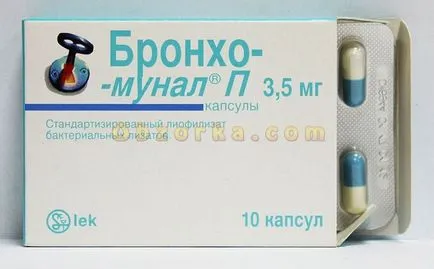 Instrucțiuni de utilizare bronhomunal comentarii reale de călătorie, preț negativ, dacă divorț, în cazul în care pentru a cumpăra