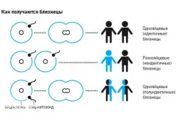 Като близнаци наследени