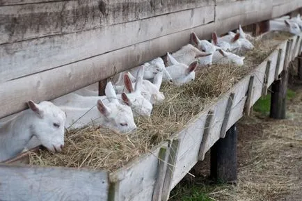 Cum brânză agricultorilor