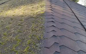 Hogyan lehet megszabadulni a moha a tetőn