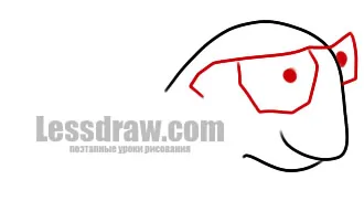 Cum de a desena o broască țestoasă înțelept, ❤lessdraw❤