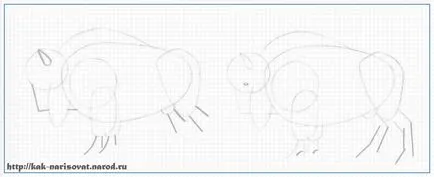 Как да се направи бизони или бизон - пример за рисунка с молив в снимки как да се направи - обучение