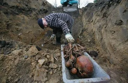 Németek keres katonák a második világháború után - Honvédségi Szemle