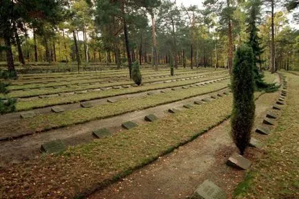 Németek keres katonák a második világháború után - Honvédségi Szemle