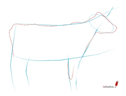 Cum de a desena o vacă cu un creion în etape