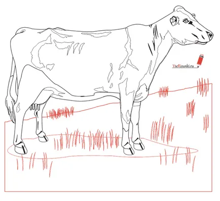 Как да се направи крава с молив на етапи