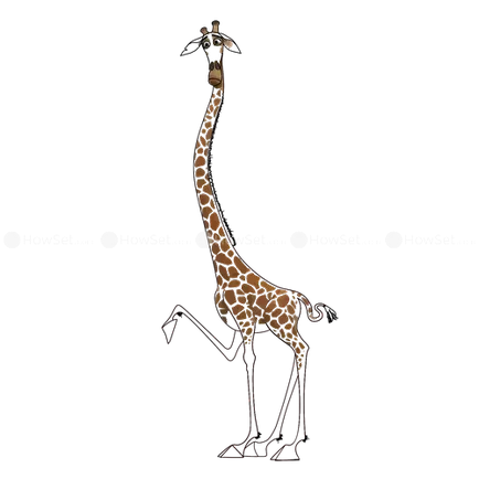 Cum să atragă Melman desene animate girafa - Madagascar - pas cu pas