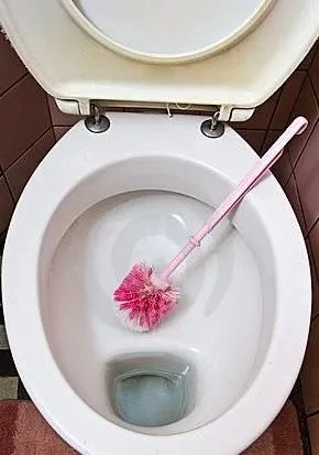 Как да се почисти тоалетната чиния на водач камък, снимки, отколкото на разтвора за почистване на ръцете си - лесно нещо
