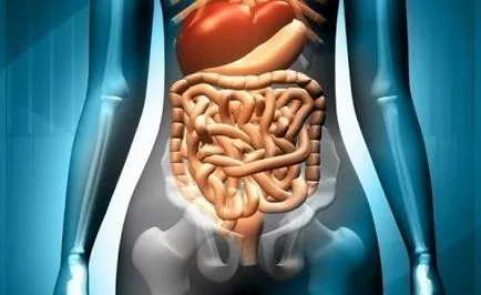 Cum se curata intestinele de toxine