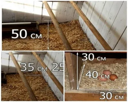 Как да се изгради кокошарник с ръцете си, на главния съвет