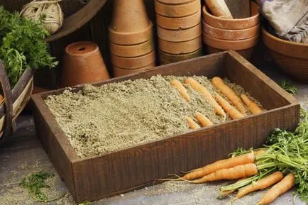 Как да съхранявате моркови 8 начина