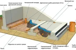 Както сухи изба методи гаражни да се отървем от влагата