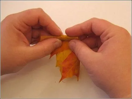 Hogyan készítsünk egy csokor juhar levelek mesterkurzus
