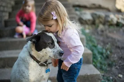 Cum să-i spuneți copilului tau despre moartea animalului, pisică, câine