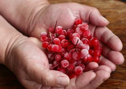 Hogyan tartsuk áfonya a téli levelek, friss gyümölcsök, szárított otthon a hűtőben,