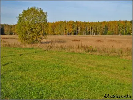 Úgy néz ki, mint a kullancsok, ahol élnek, és ahol több aktív