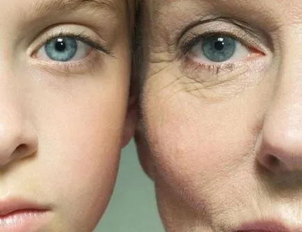 Hogyan válasszuk ki a megfelelő anti-aging krém