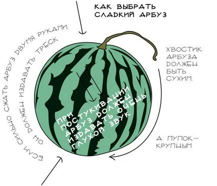 Как да изберем зряла диня и сладки