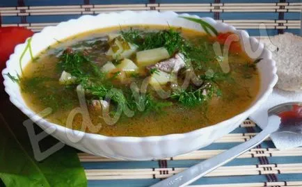Sour супа с киселец и месо рецепта със снимка