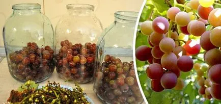 Megőrzése szőlő a téli - a munkadarab otthon, ízletes receptek