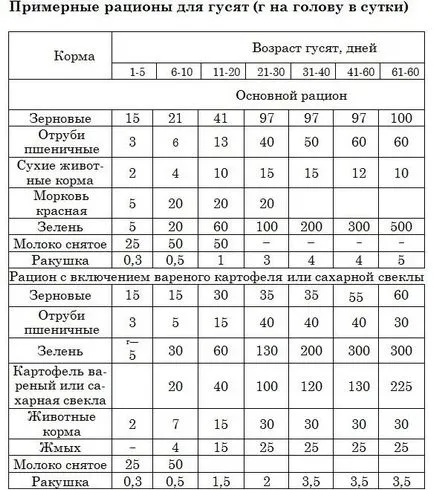 Хранене норми и гъски маса у дома