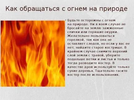 Как човек трябва да се държи в природата