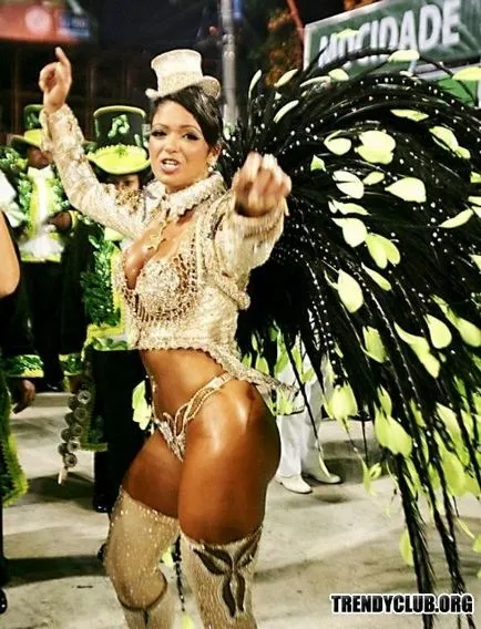 Costume de carnaval brazilian 2012